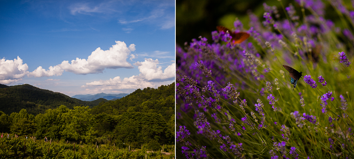 the vineyards at bettys creek a beautiful mountain wedding venue