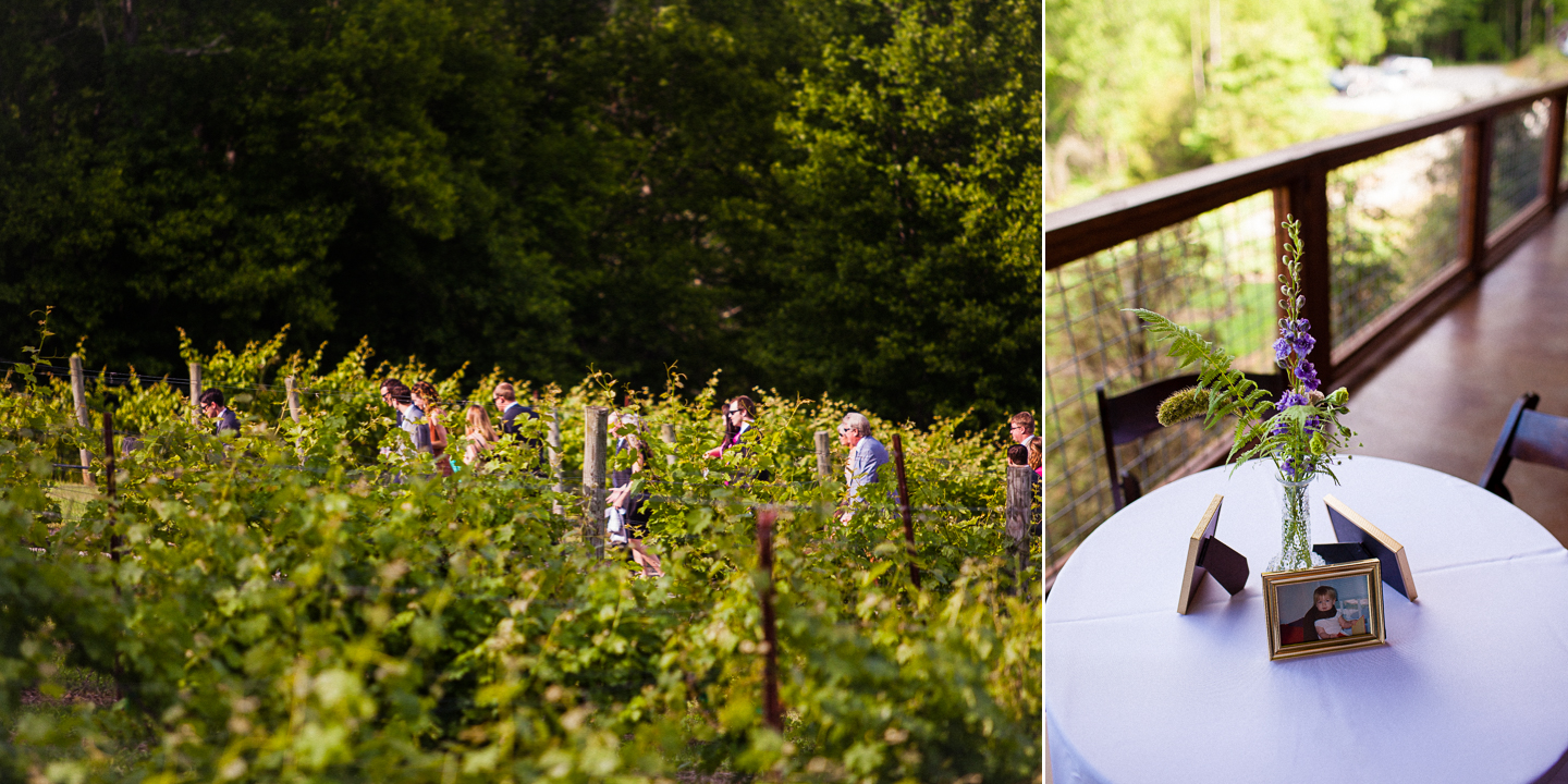 the vineyards at bettys creek reception lodge in the mountains