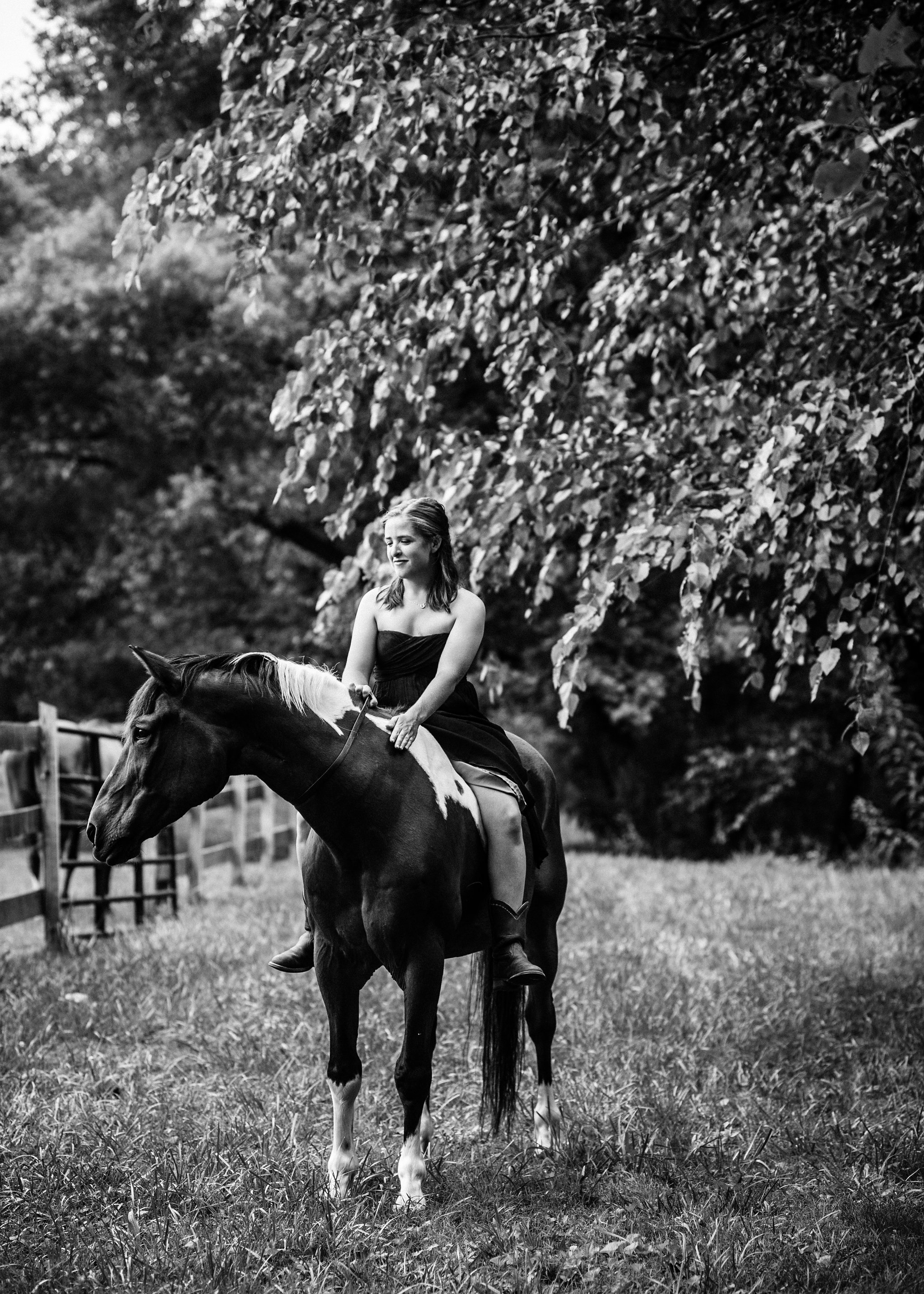 equine lifestyle portrait in tryon nc