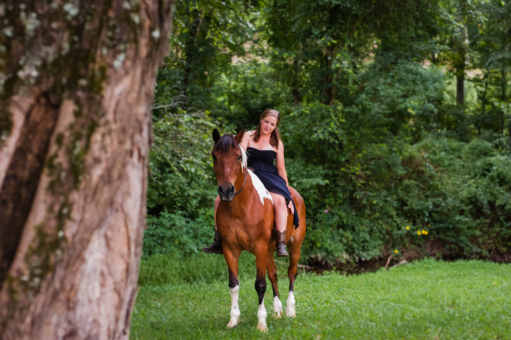 tryon nc equine photograph