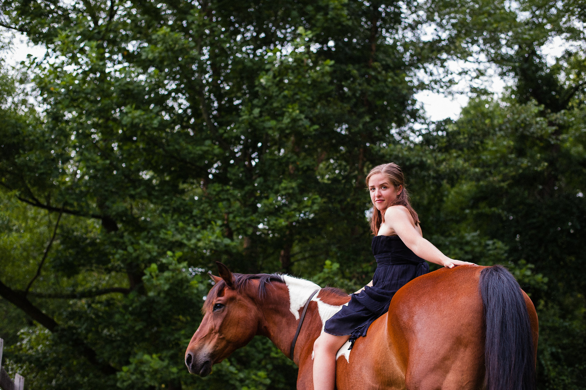 lifestyle equine portraiture in polk county