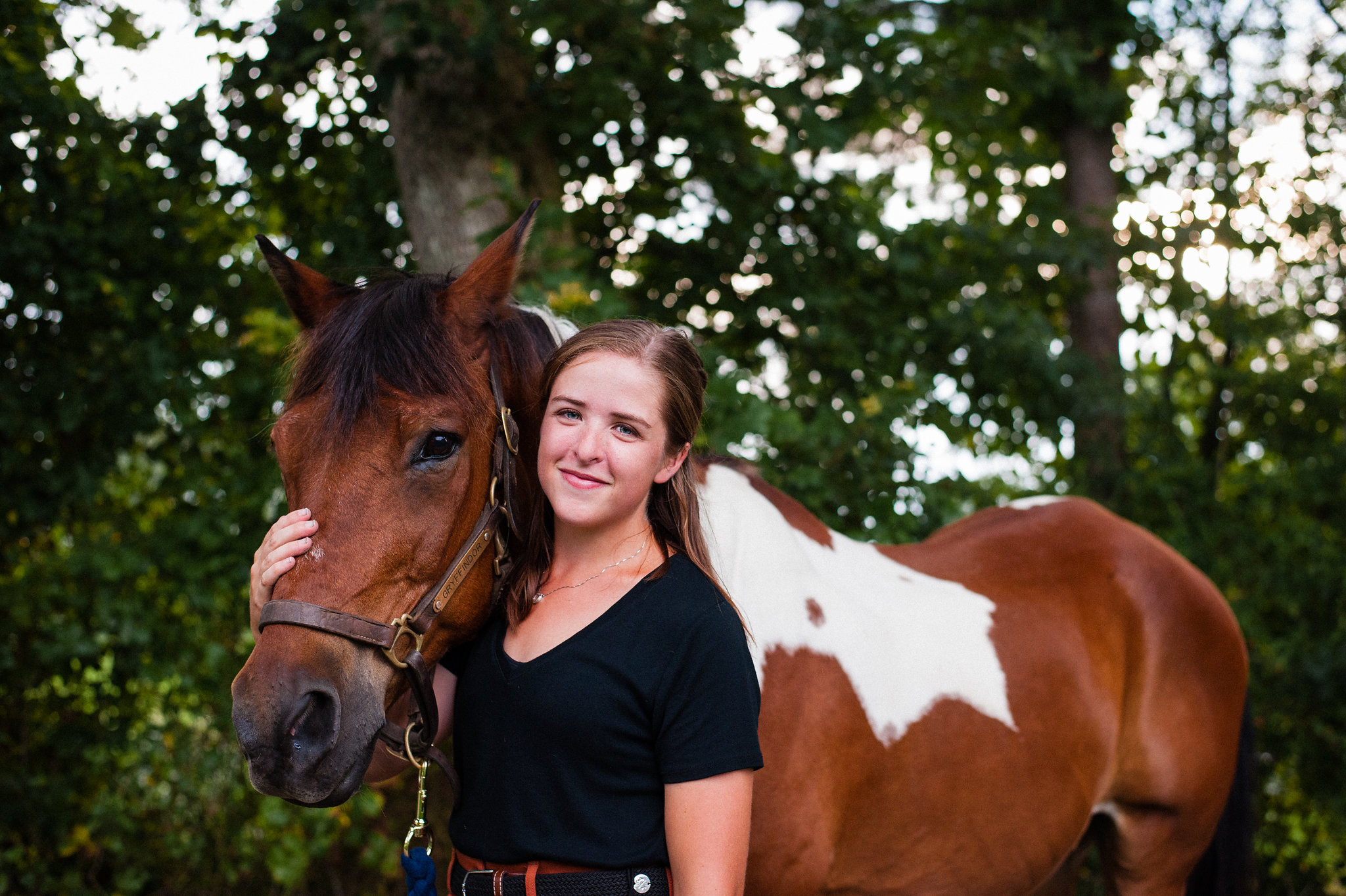 horse photographer tryon nc