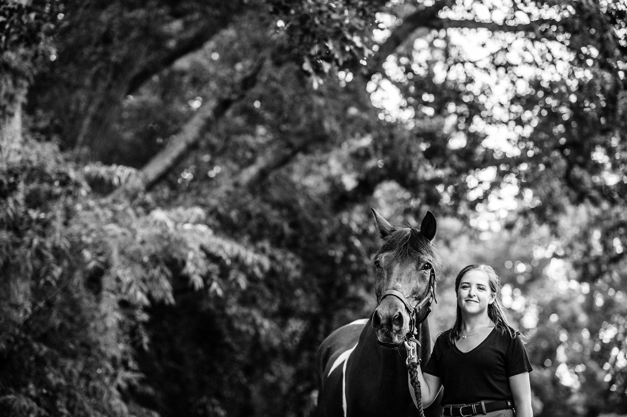 nc and tryon equine photograph on the farm