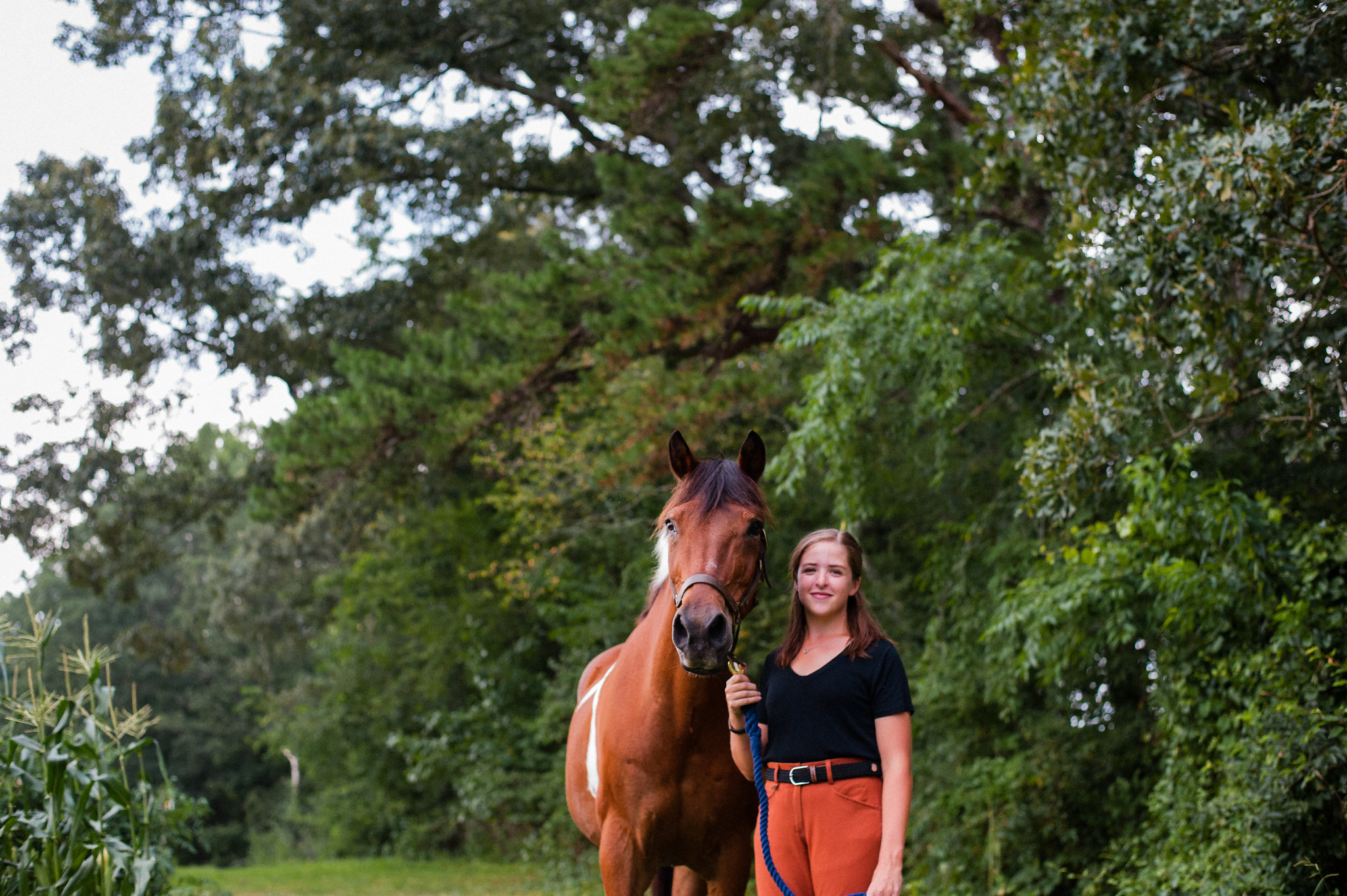 tryon equestrian portrait