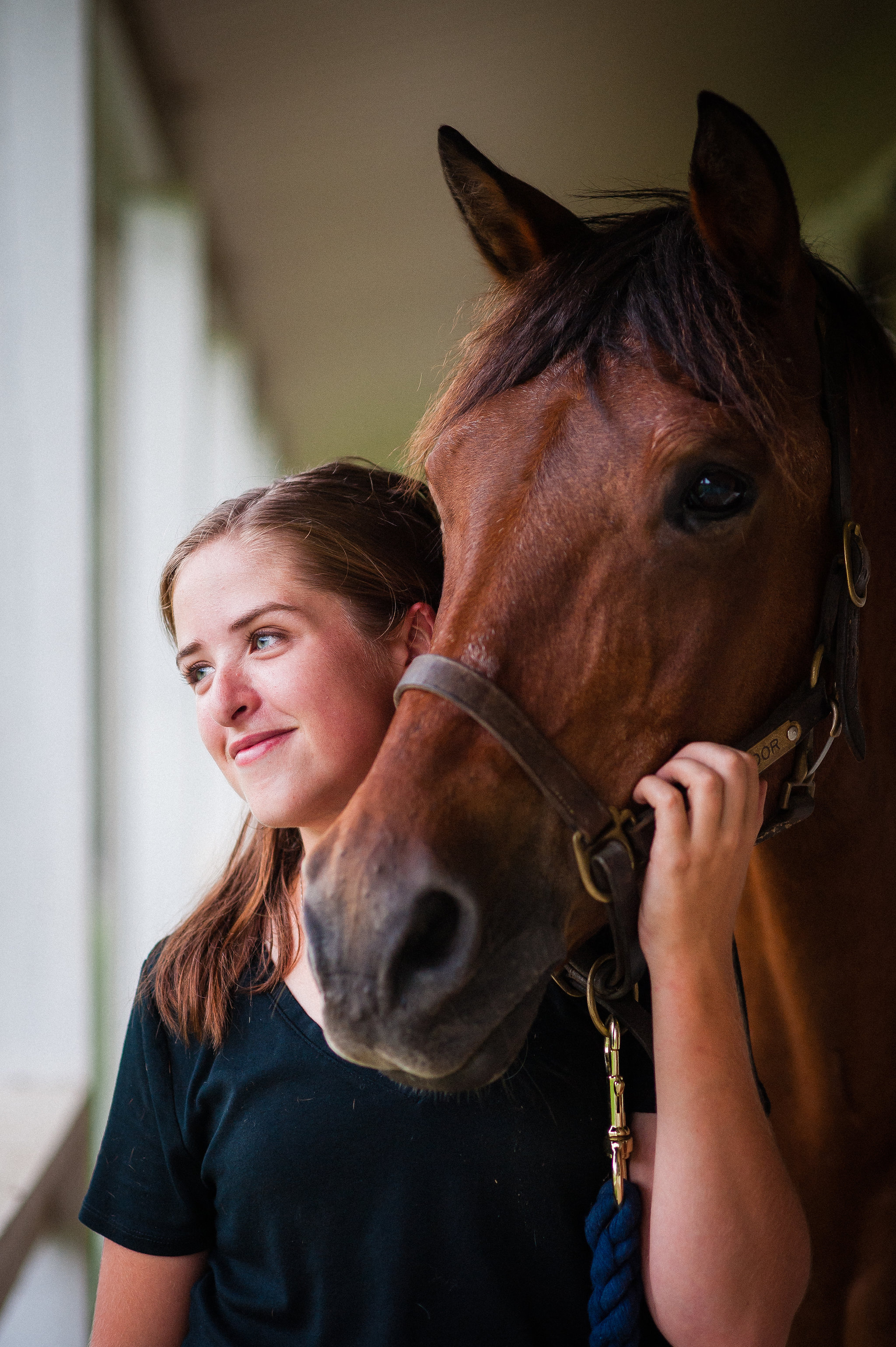 tryon equine photographer