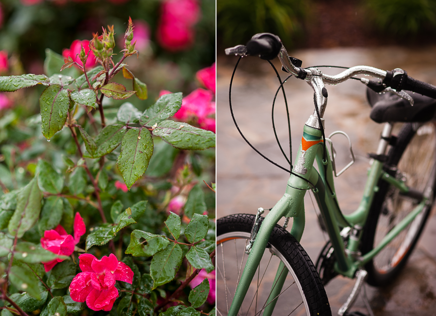 bike friendly wedding at Oskar Blues REEB Ranch 