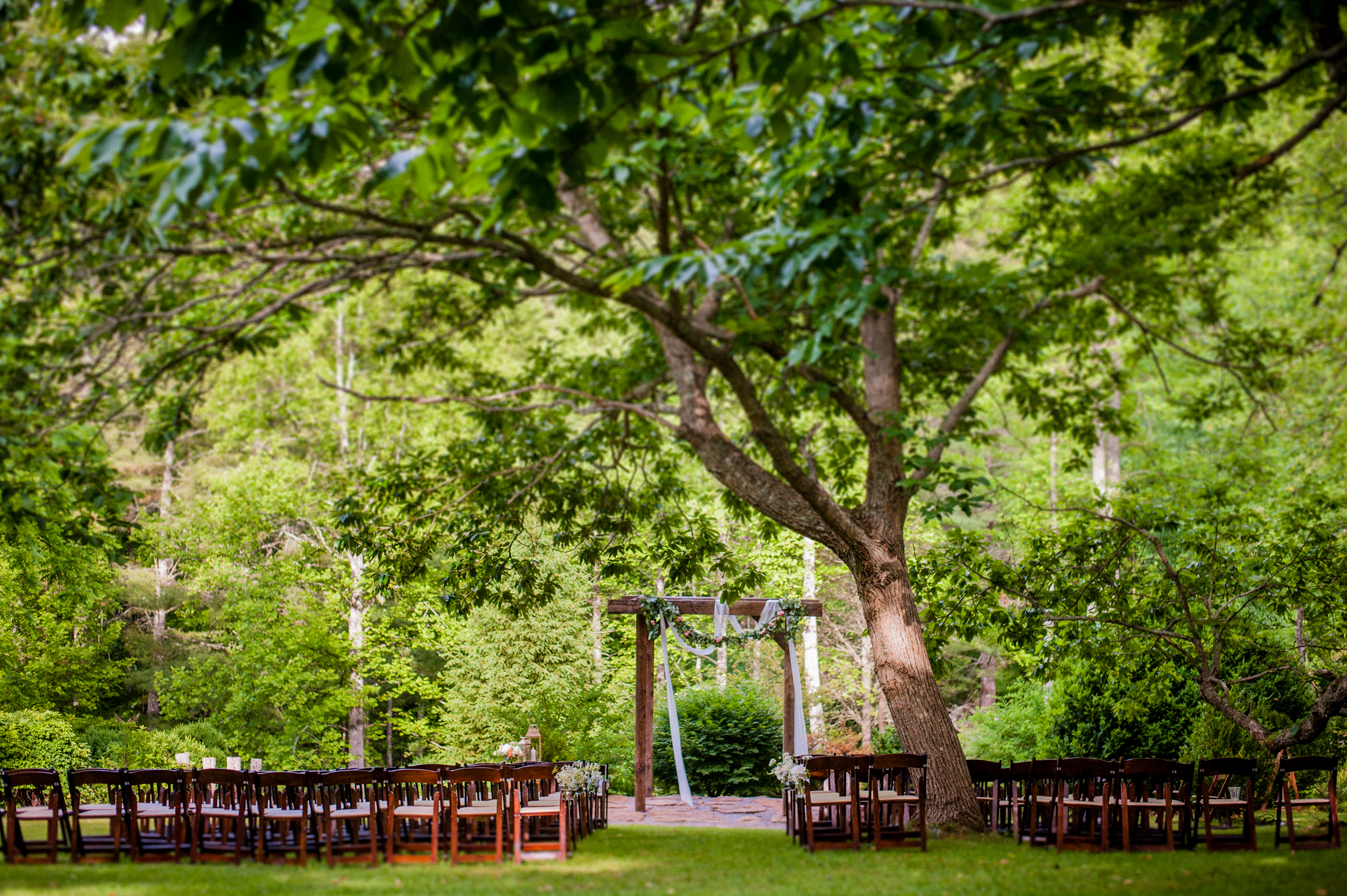 vineyards at bettys creek ceremony under the tree