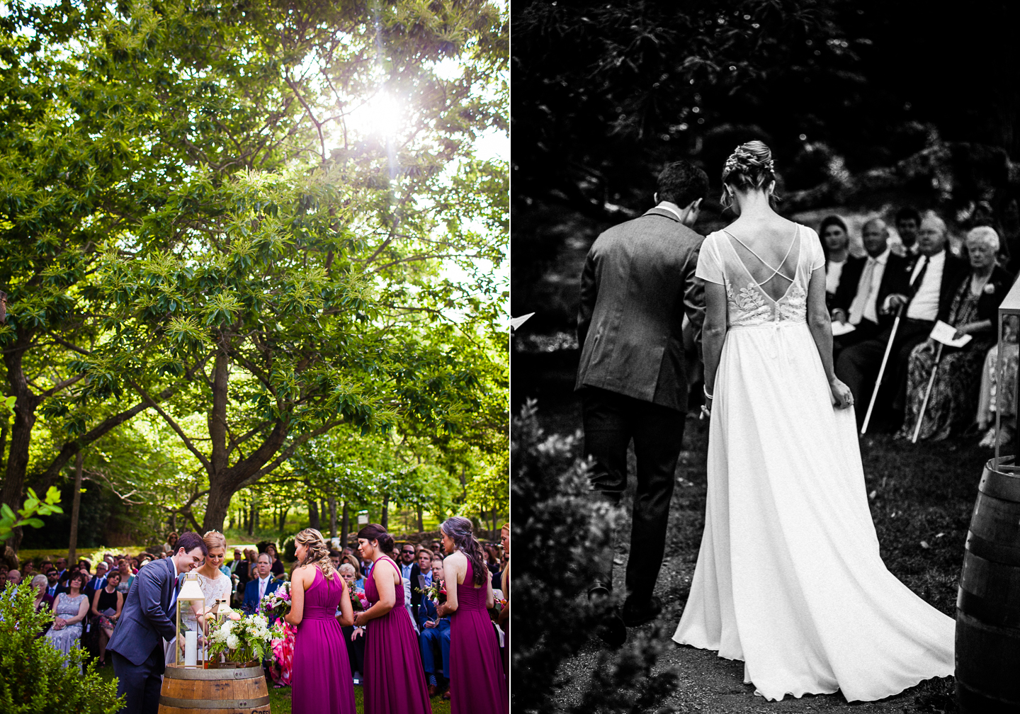 vineyardsat bettys creek wedding ceremony 