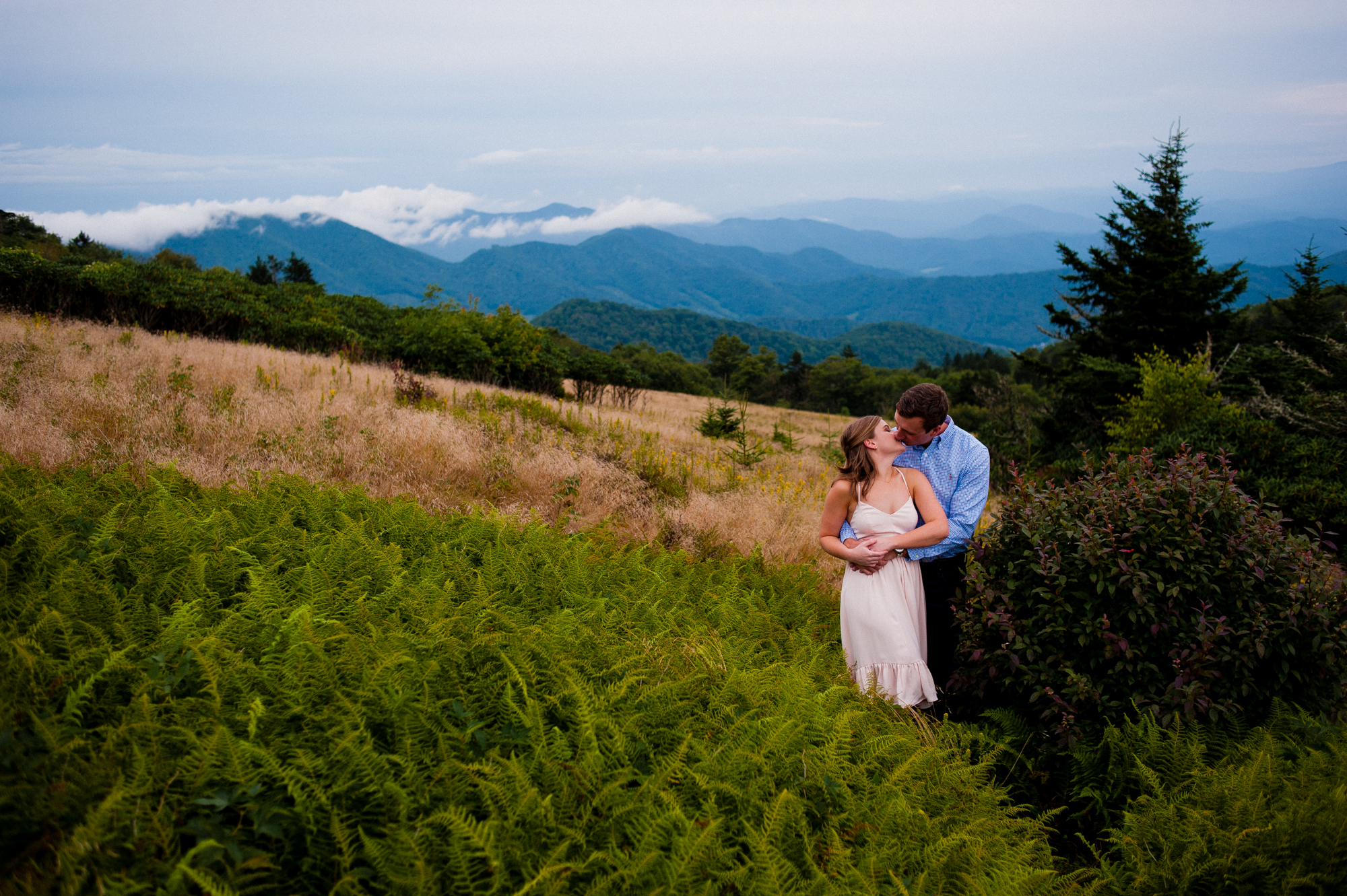 engaged couple kisses in the ferns on Roan Mountain 