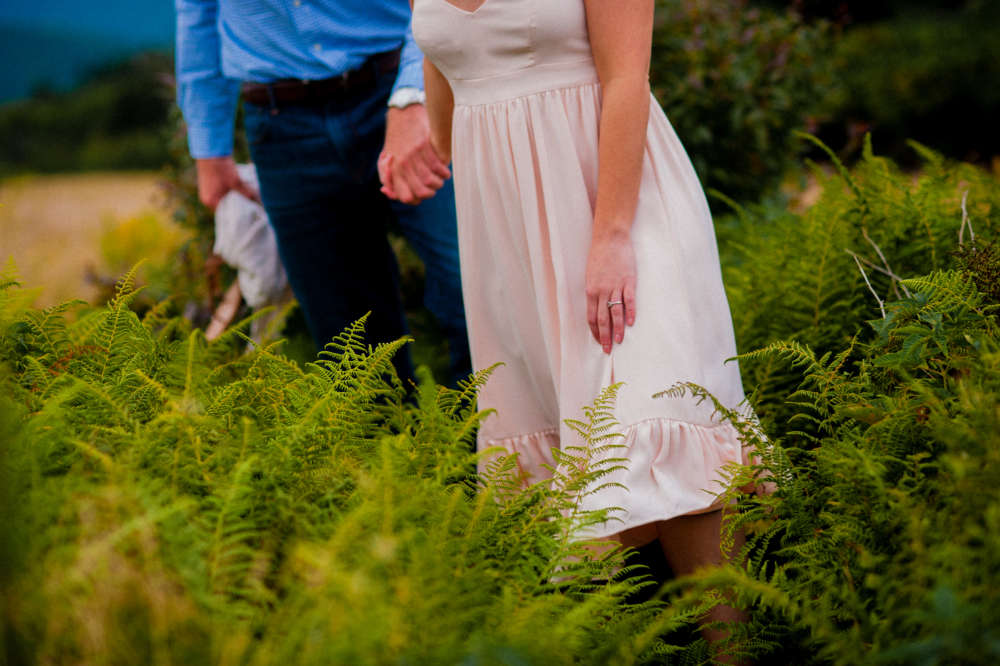 holding hands among the ferns on roan mountain 