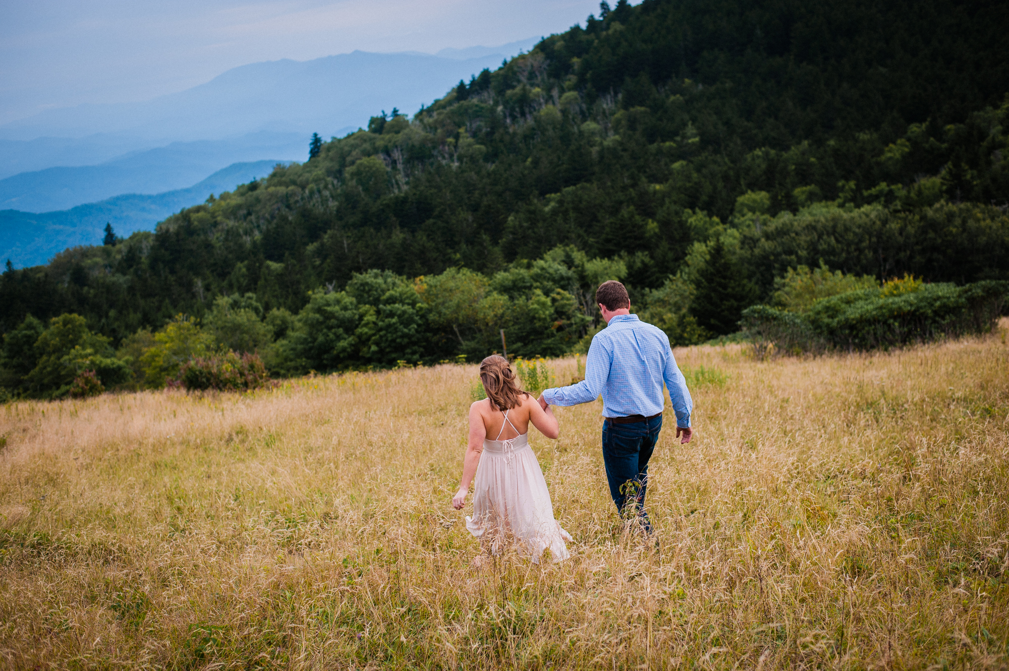 couple holds hands in a field on roan mountain