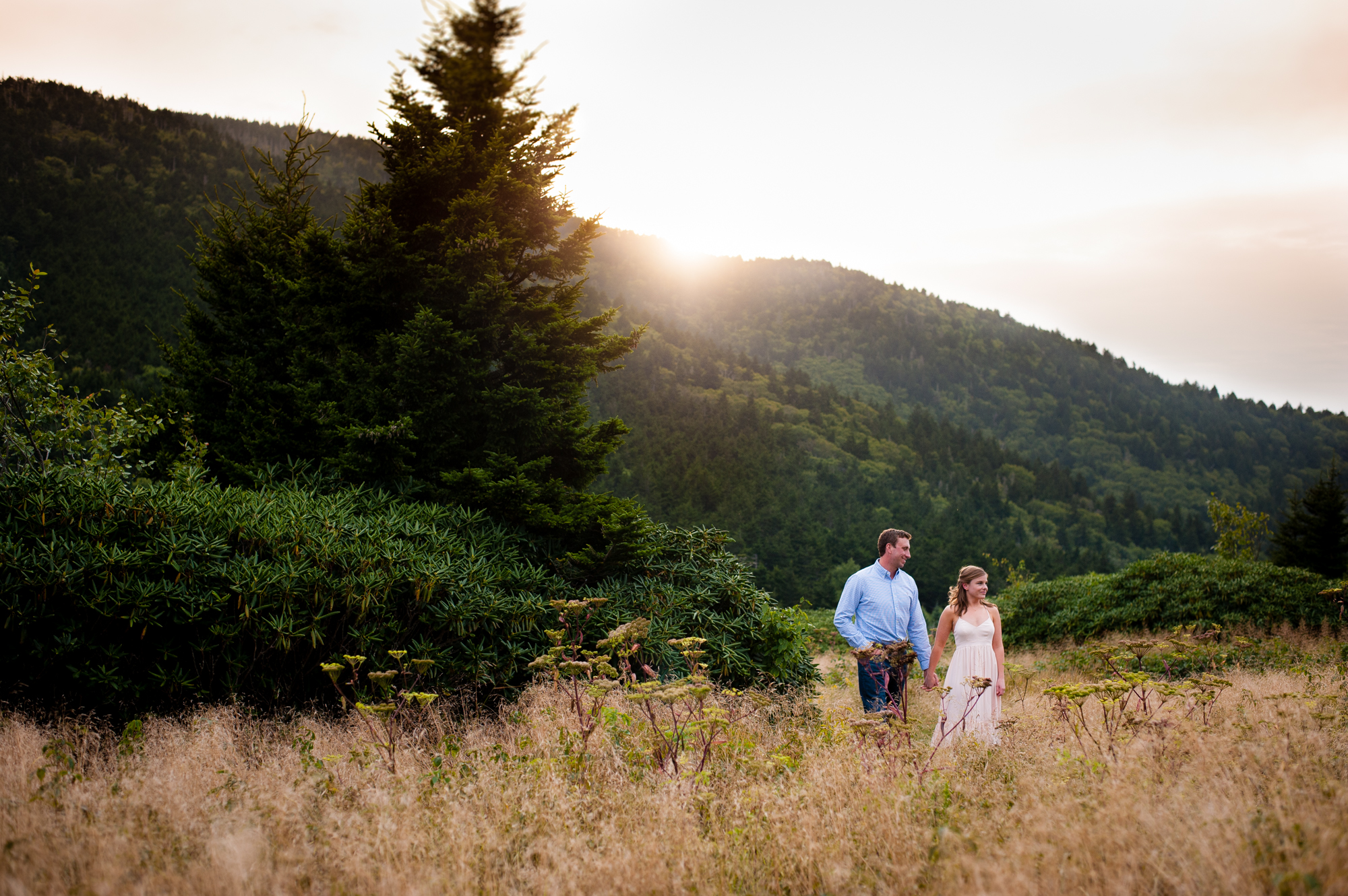 roan mountain engagement session at sunset