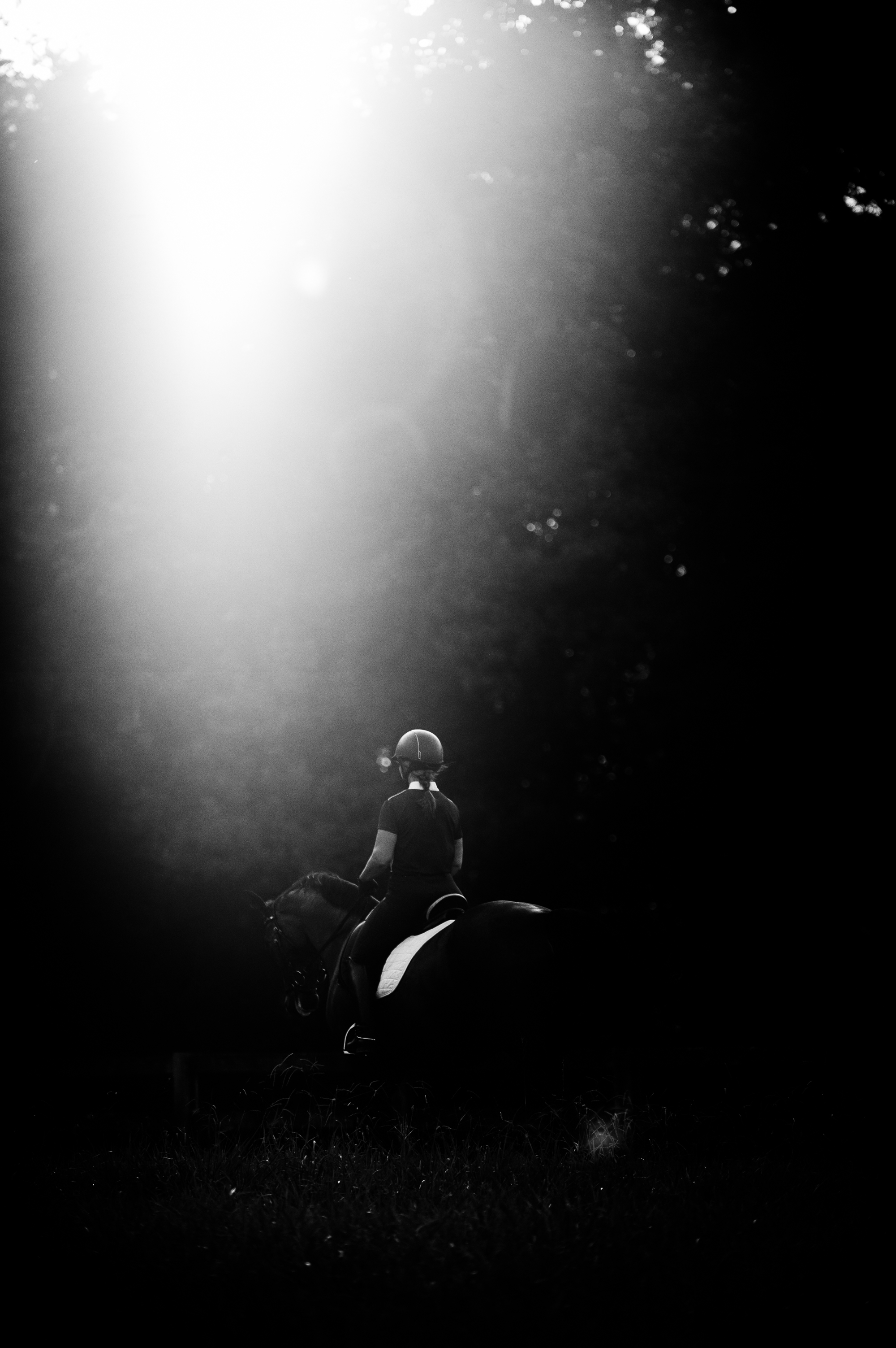 tryon equestrian photographer