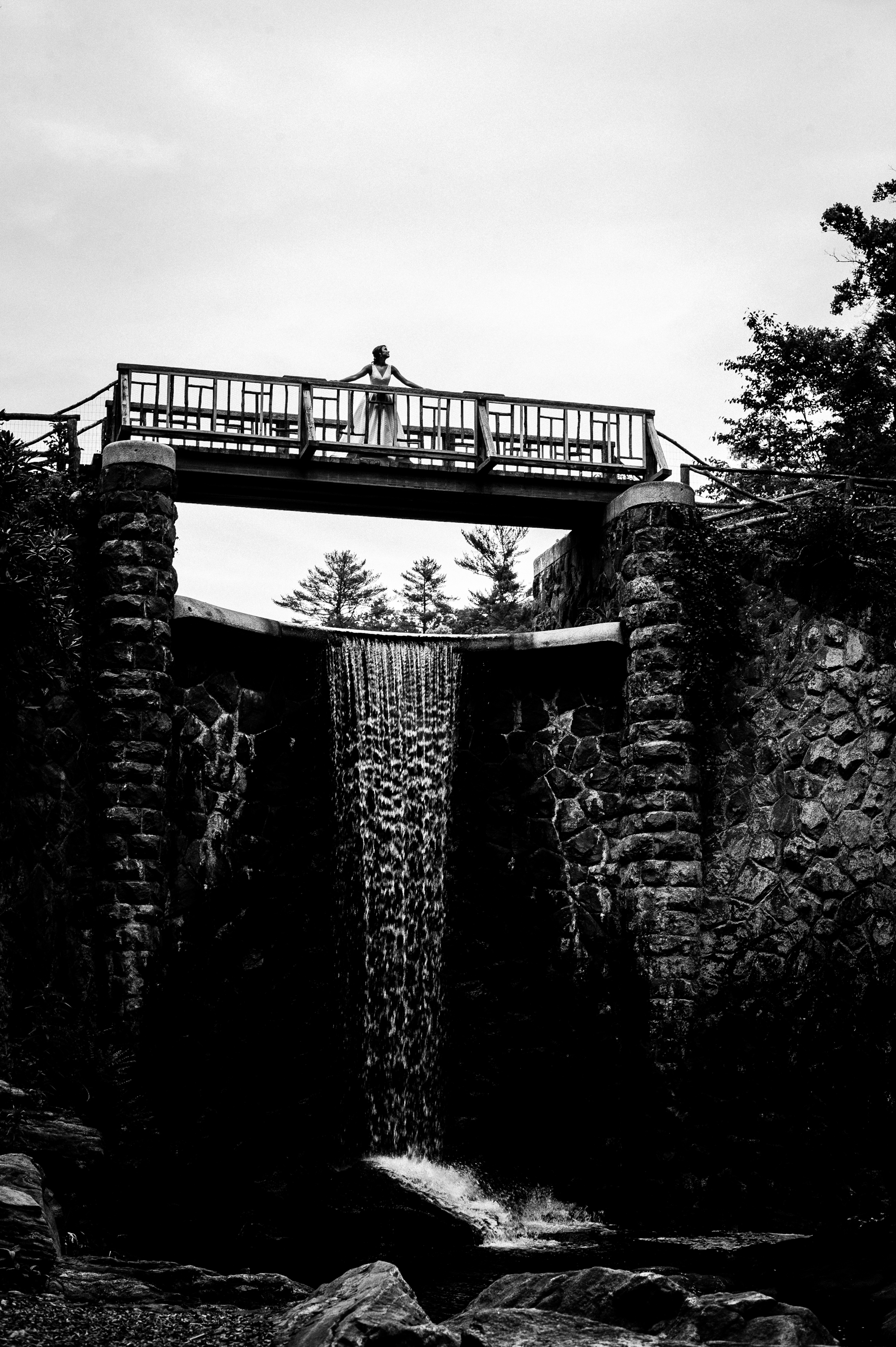 biltmore estate wedding portrait