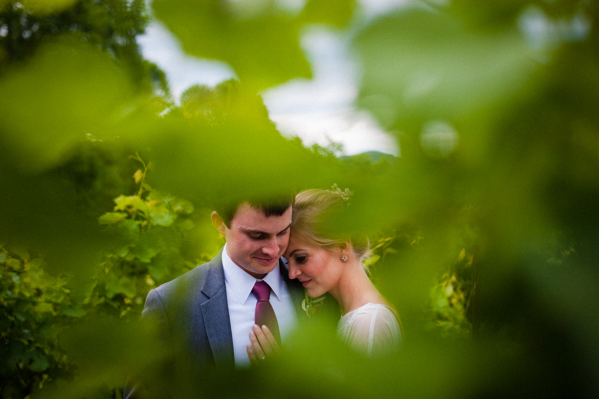 bride and groom in between grapevines during their vineyard wedding