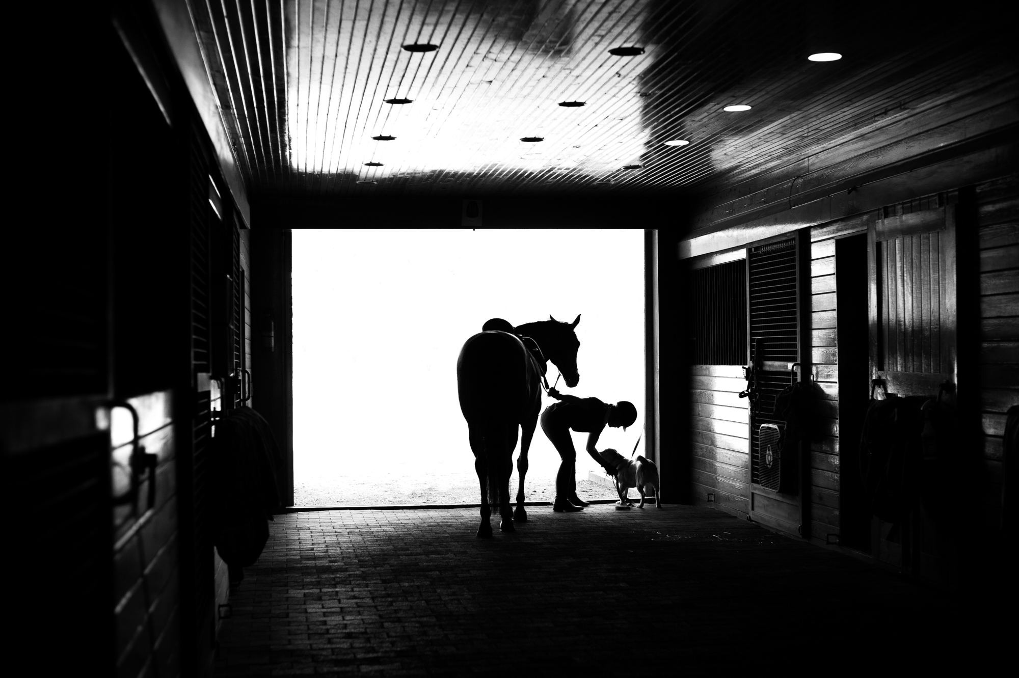 silhouette of horse and rider at a barn in Tryon NC