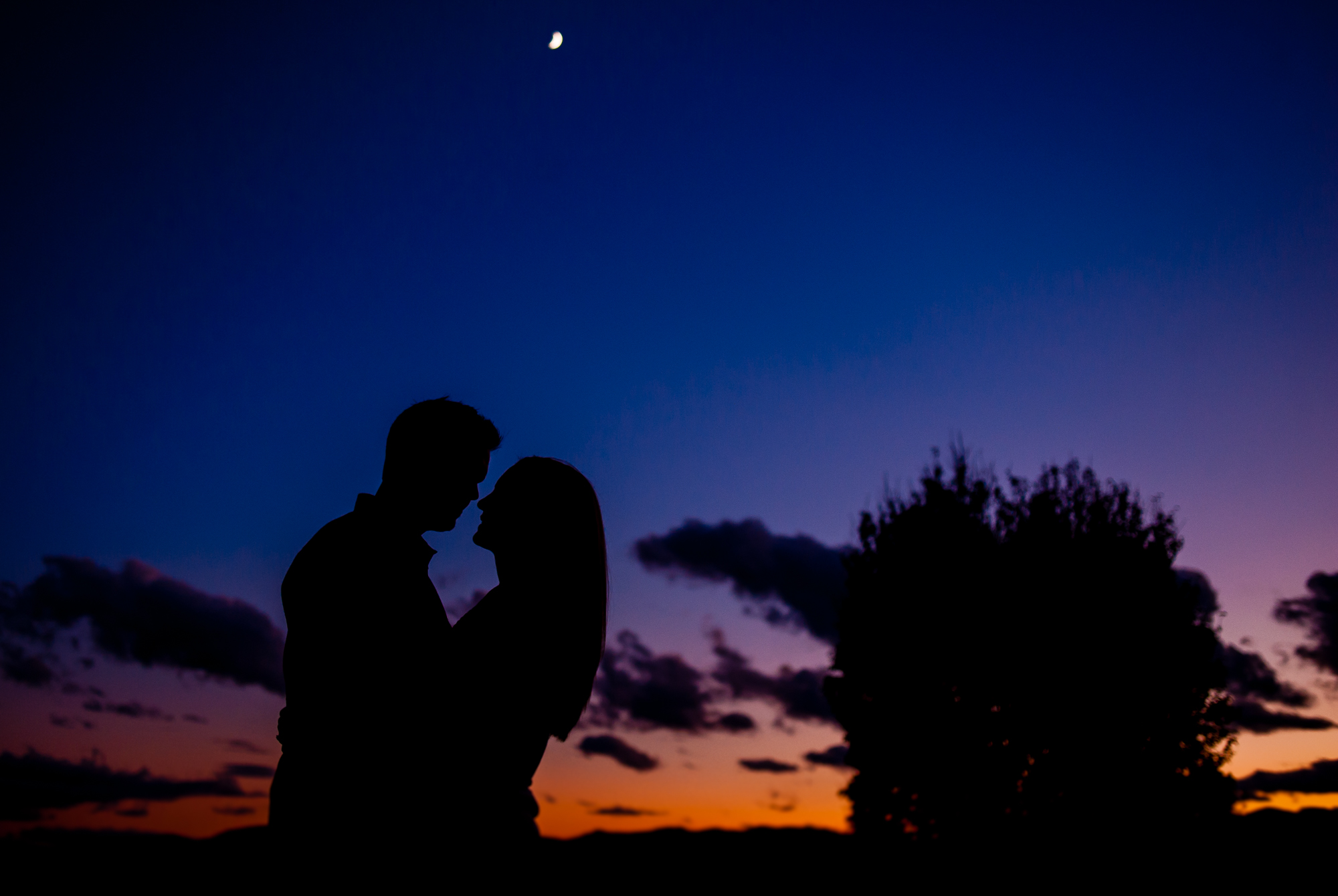 the inn on biltmore estate sunset engagement