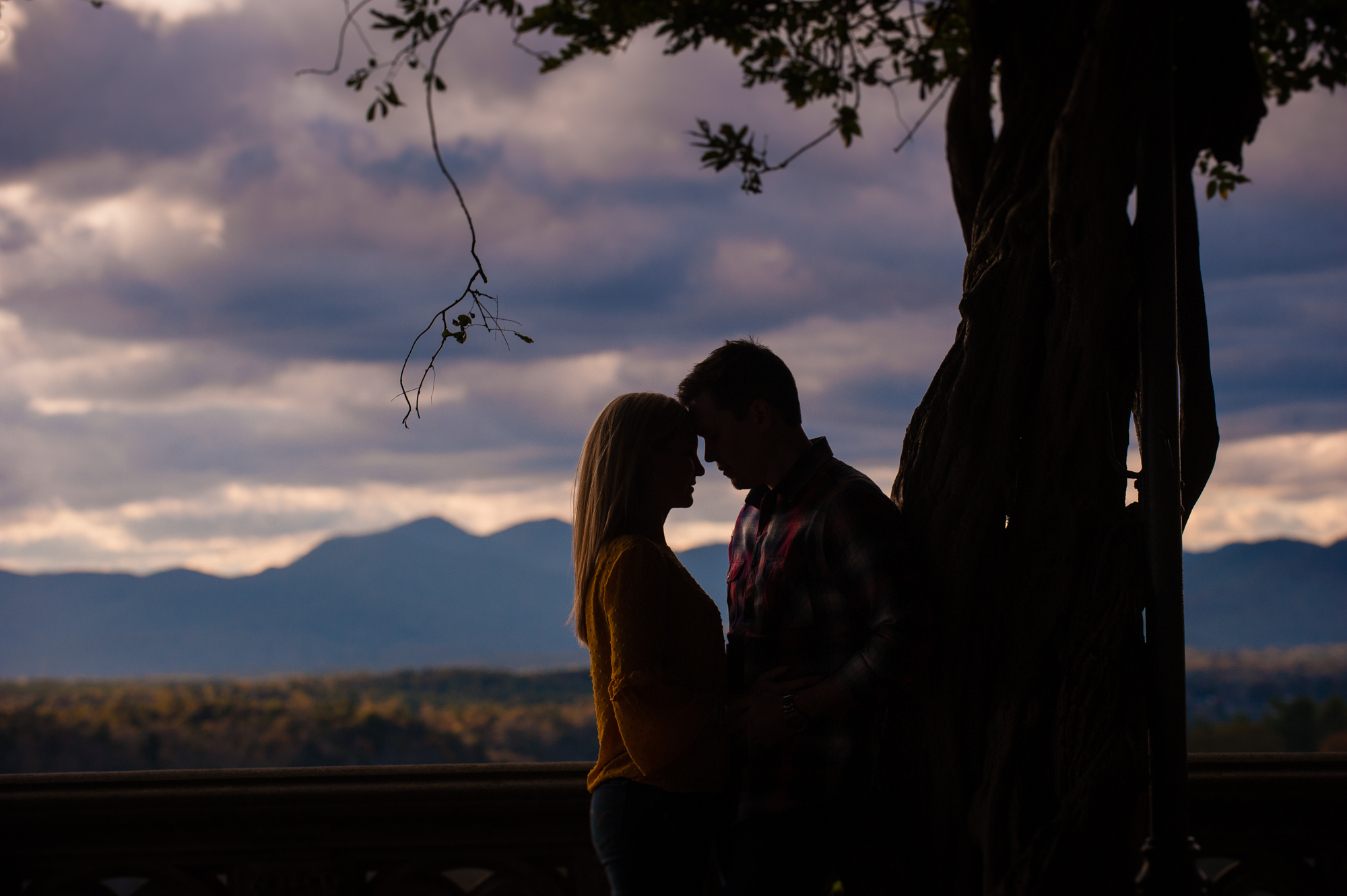 biltmore estate engagement session