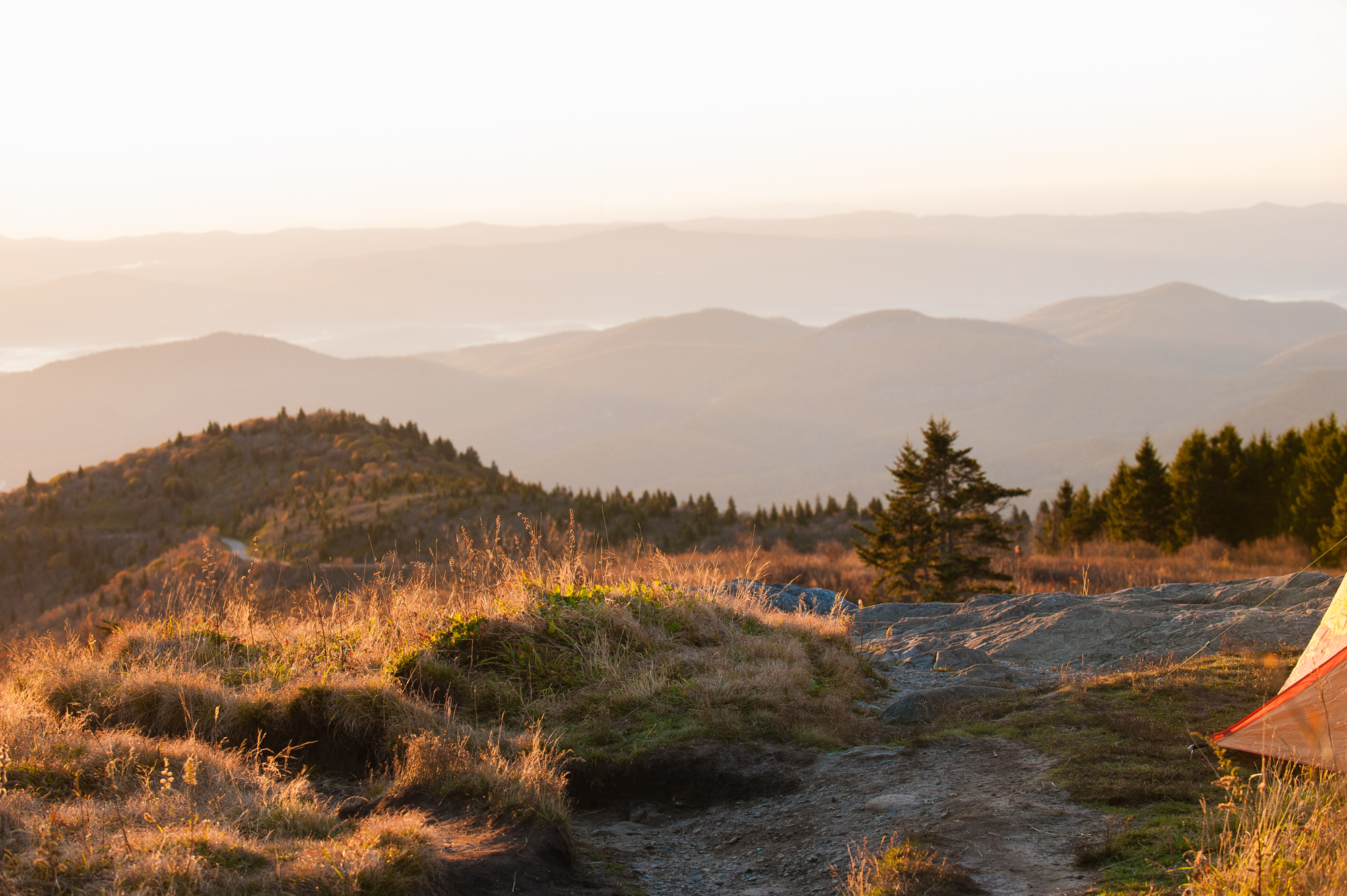 black balsam at sunrise