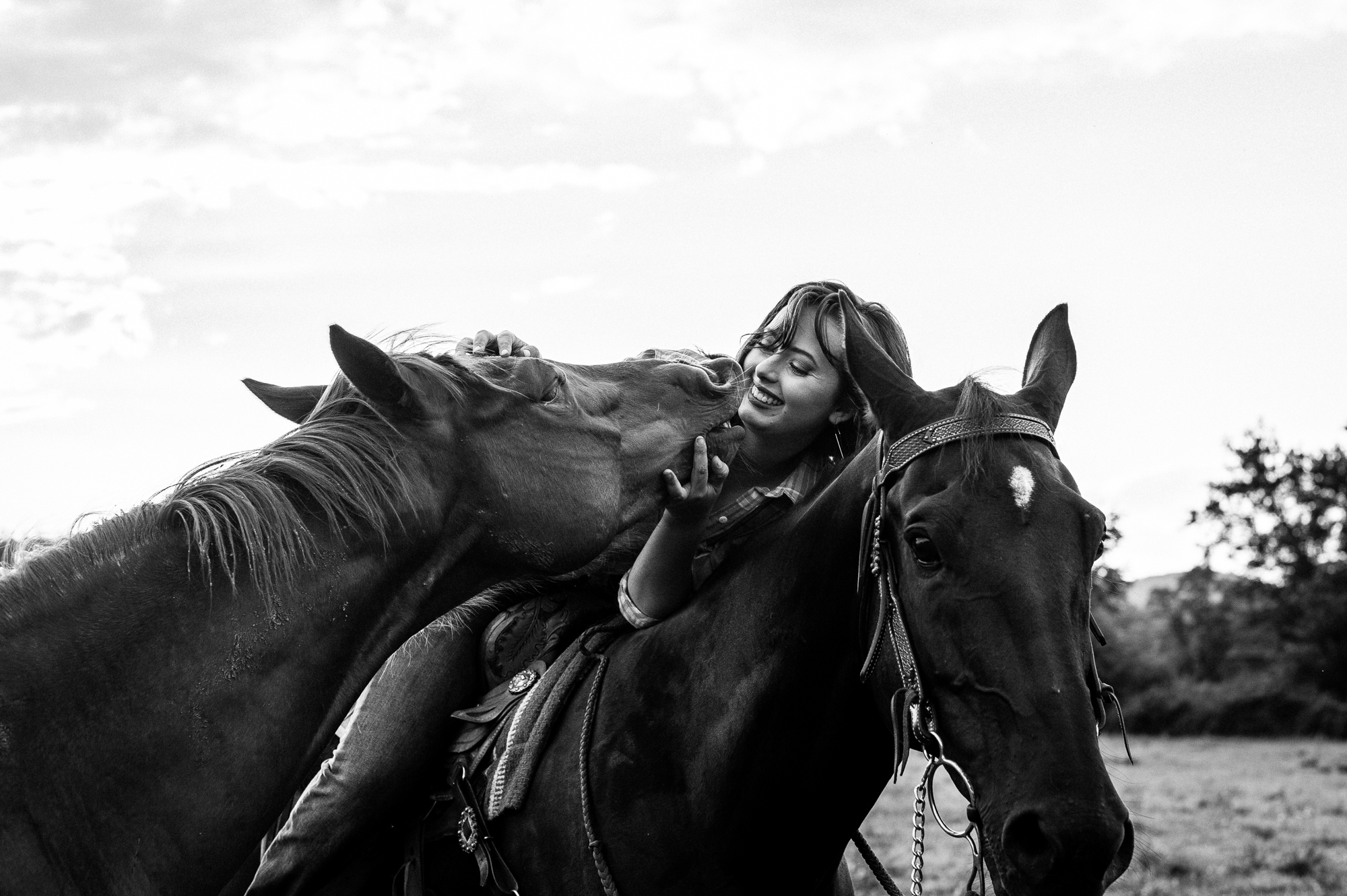 equine portraits on the farm in Tryon NC