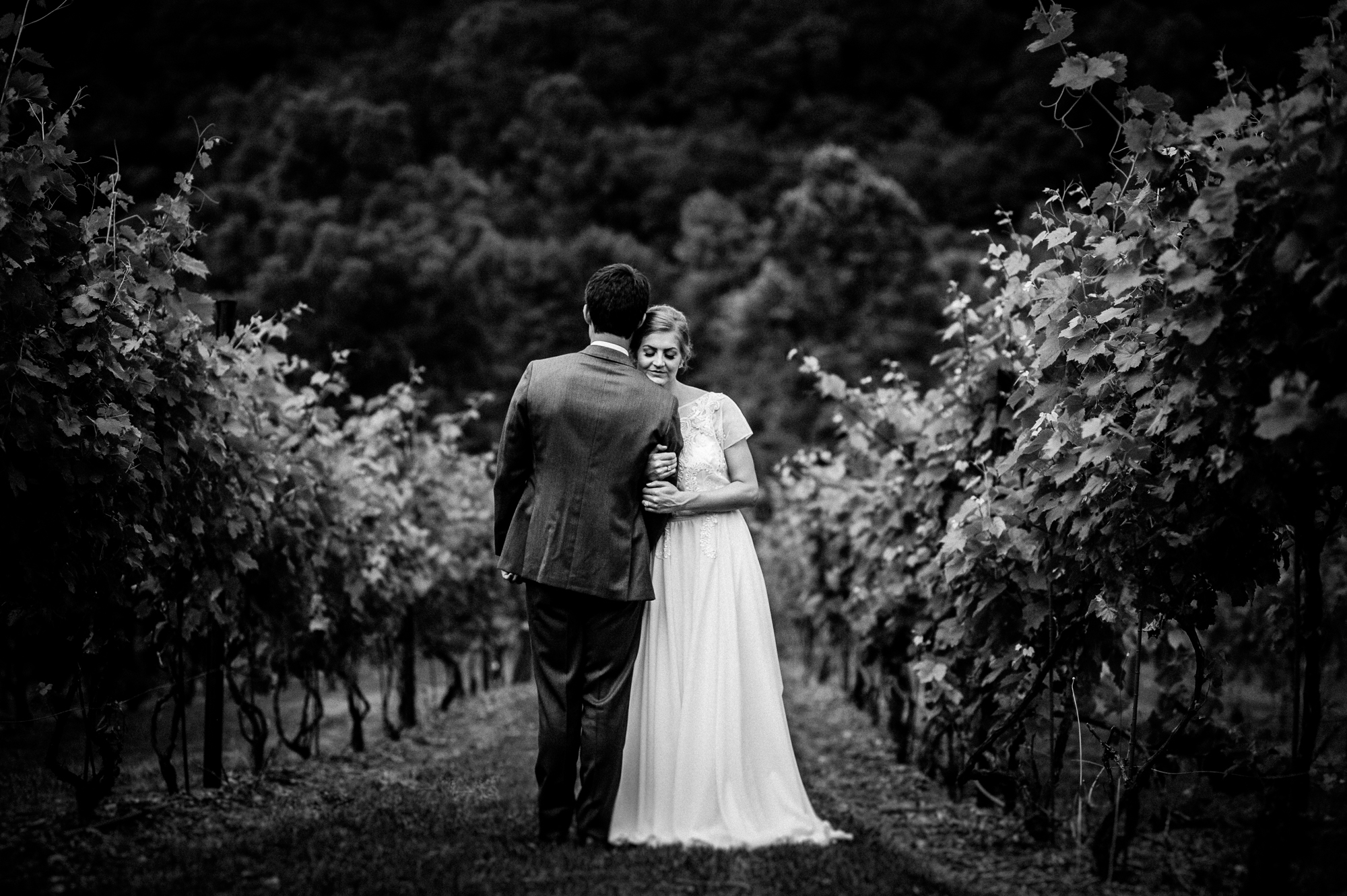 wedding portrait of bride and groom during vineyards at betty's creek wedding