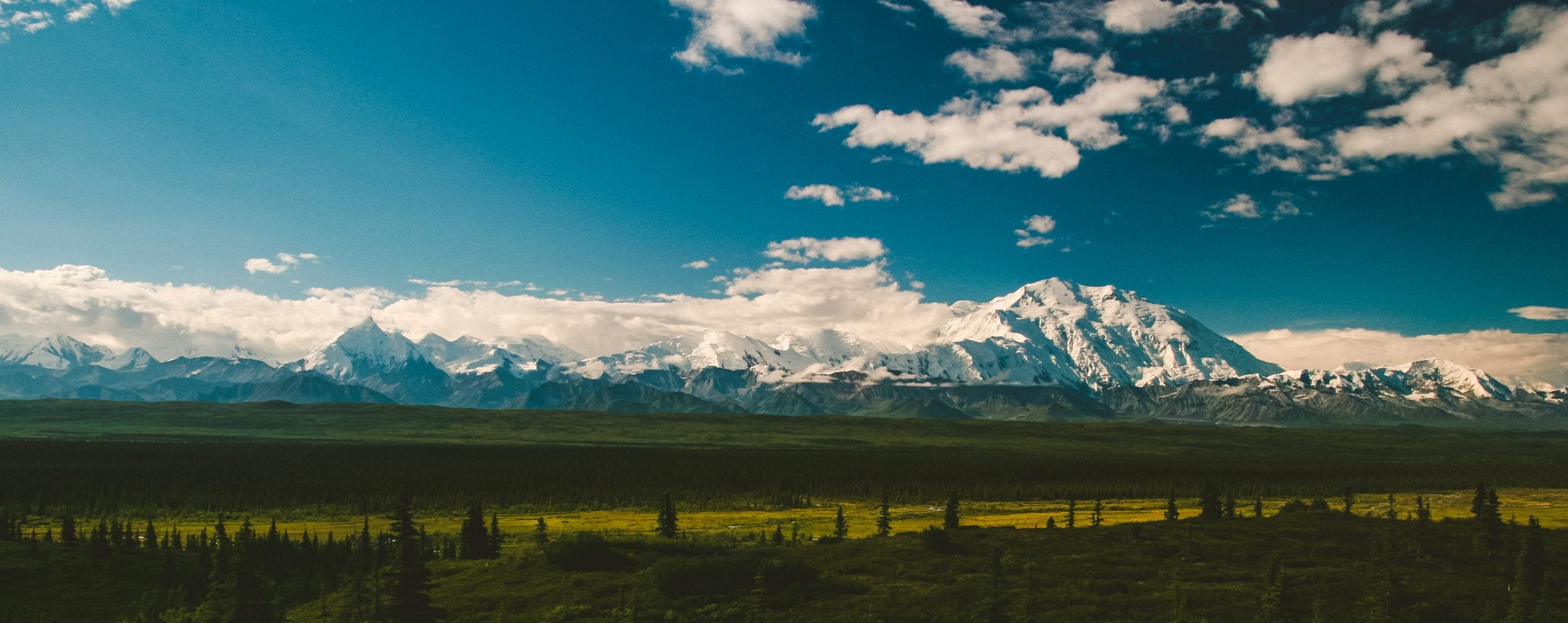 mount denali from within denali nation park rising above the clouds