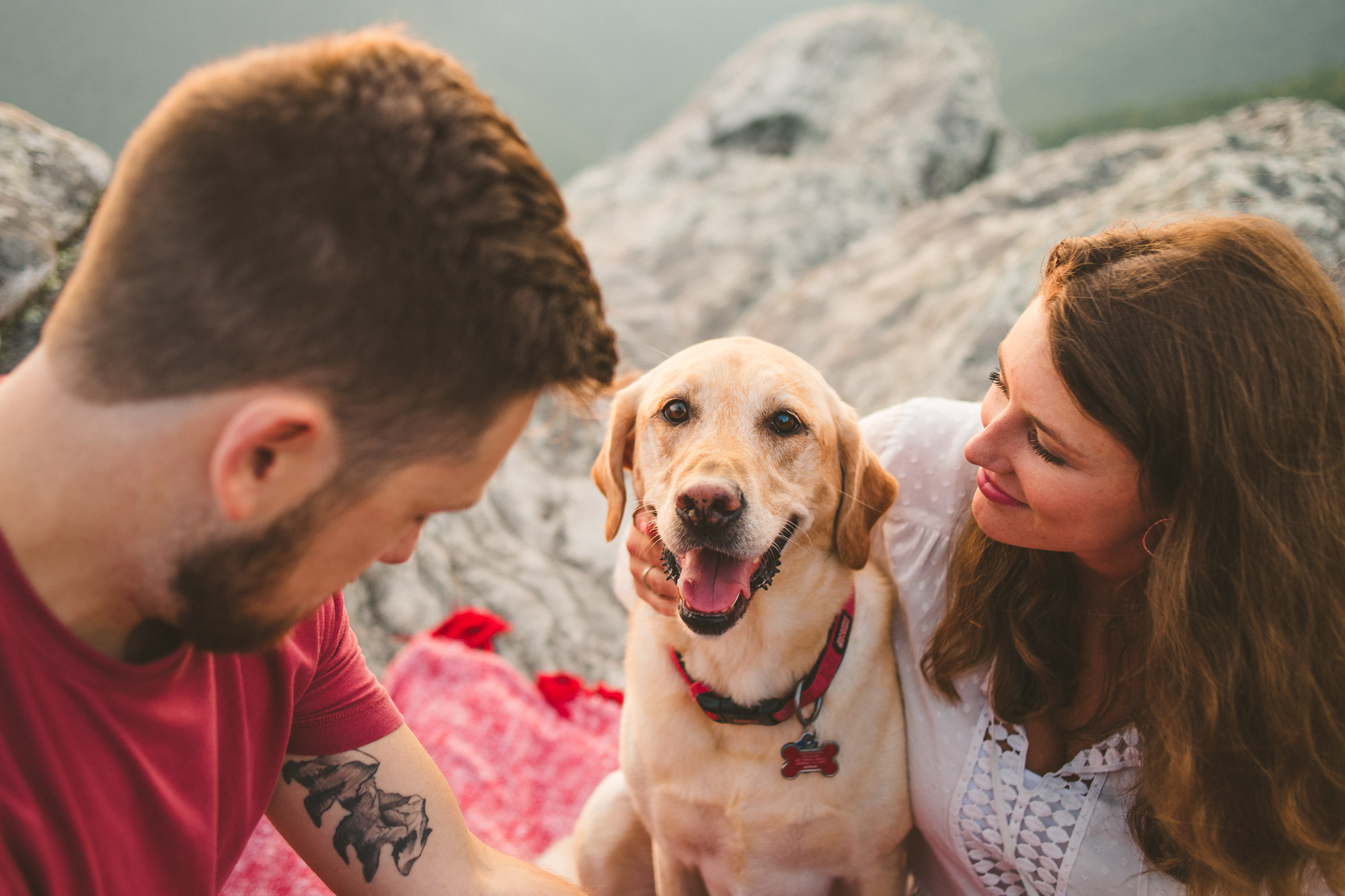 Dog engagement session in the Blue Ridge Mountains