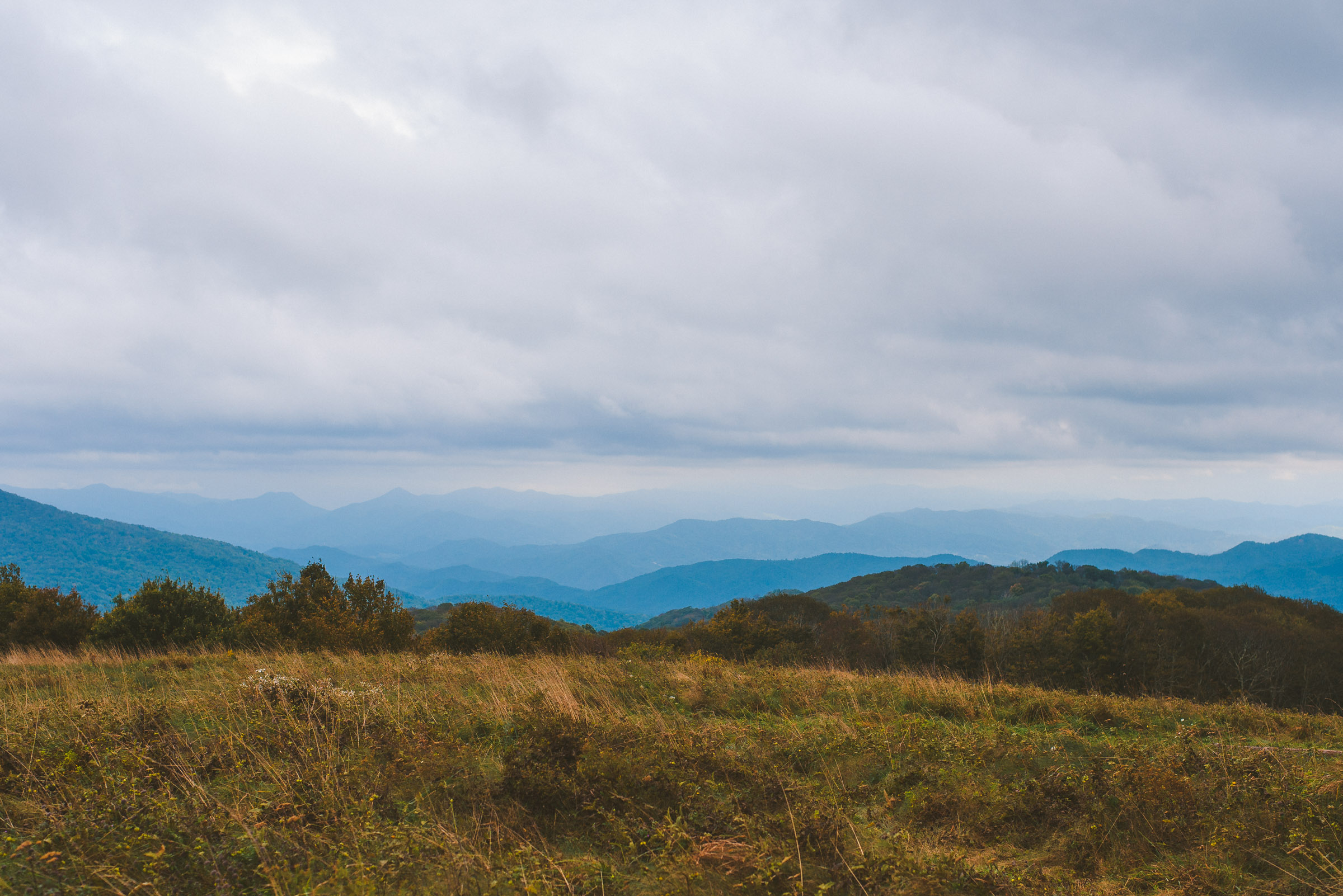 Max Patch Mountain landscape photo