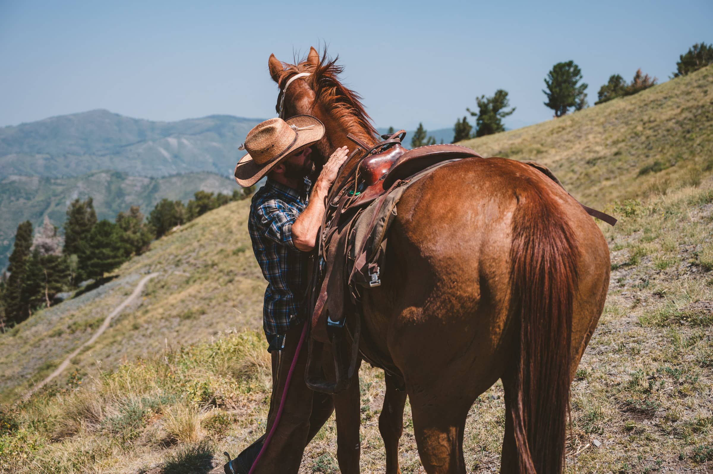 Horsewedding 1