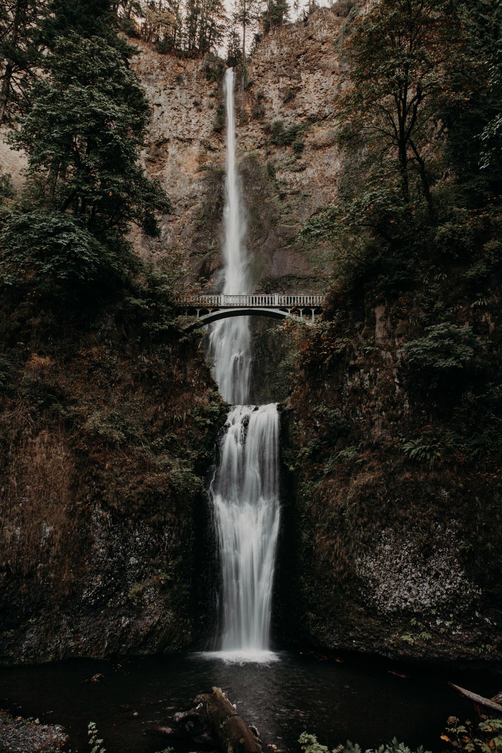 Asheville Elopement Photographer Allegory And Elm 3