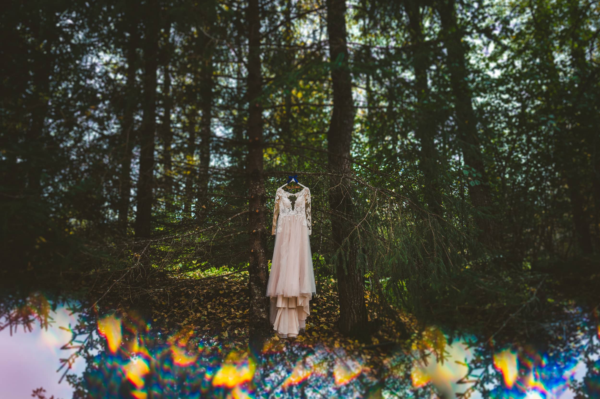 Wedding dress hanging in tree outside cabin in Seward Alaska 